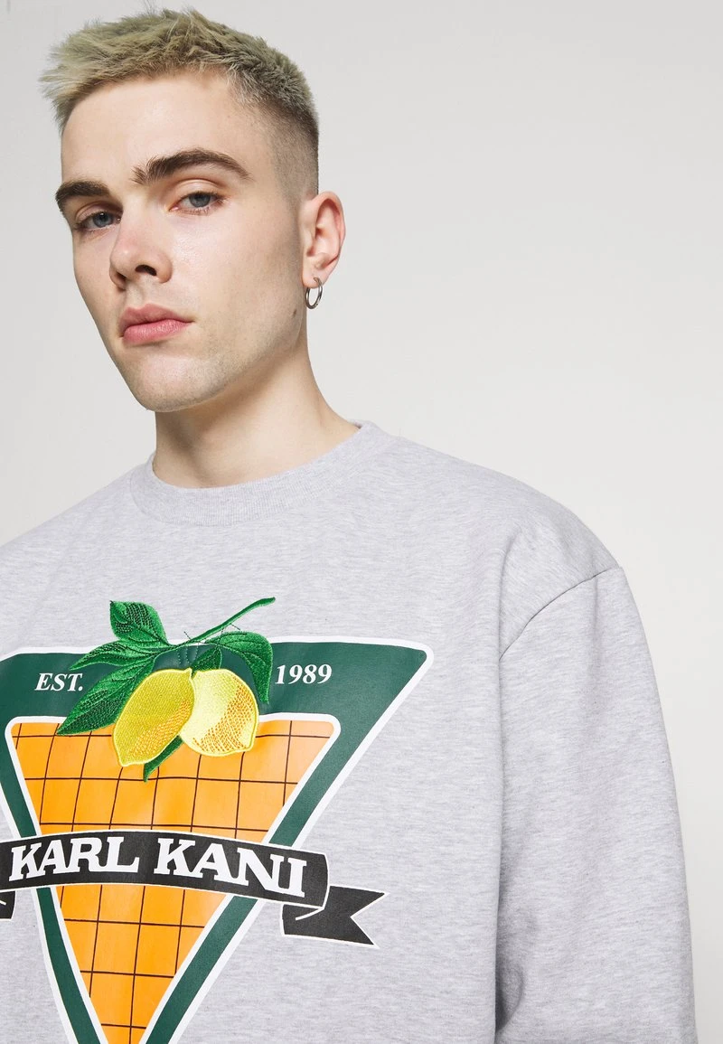 Karl Kani RETRO CREW - Sweatshirt - Grey, Herren 6 Karl Kani RETRO CREW - Sweatshirt - Grey, Herren – Bild 4