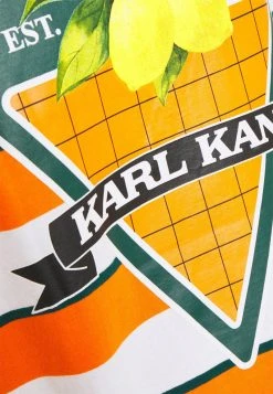 Karl Kani SMALL SIGNATURE STRIPE TEE UNISEX - T-Shirt Print - Orange -Outlet KARL KANI Store c40858df1e47405dab7d33e6702dc657